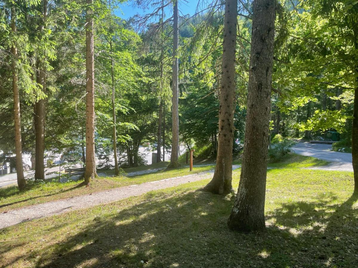 Martinov Dom Apartment Kranjska Gora Exterior photo